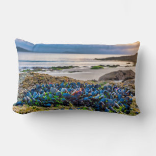 Coussin Rectangle Moules