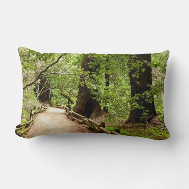 Coussin Rectangle Muir Woods Path II Nature Photography (Recto)