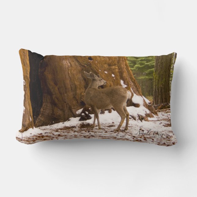 Coussin Rectangle Mule Deer (Recto)