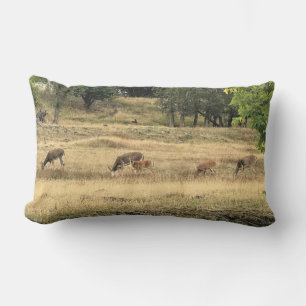 Coussin Rectangle Mule Deer in a Field, Joseph, Oregon