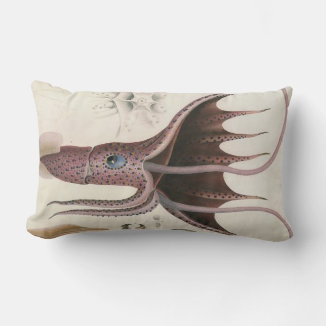 Coussin Rectangle Nautique/vie marine/coussin lombaire de (Recto)