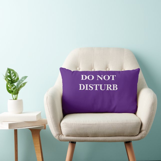 COUSSIN RECTANGLE NE PAS PERTURBER (Chaise)