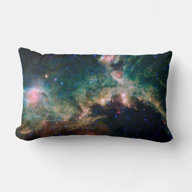 Coussin Rectangle Nébuleuse de mouette (Recto)