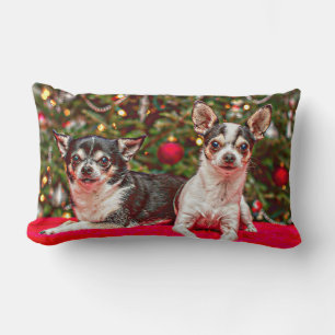 Coussin Rectangle Noël au Chihuahua