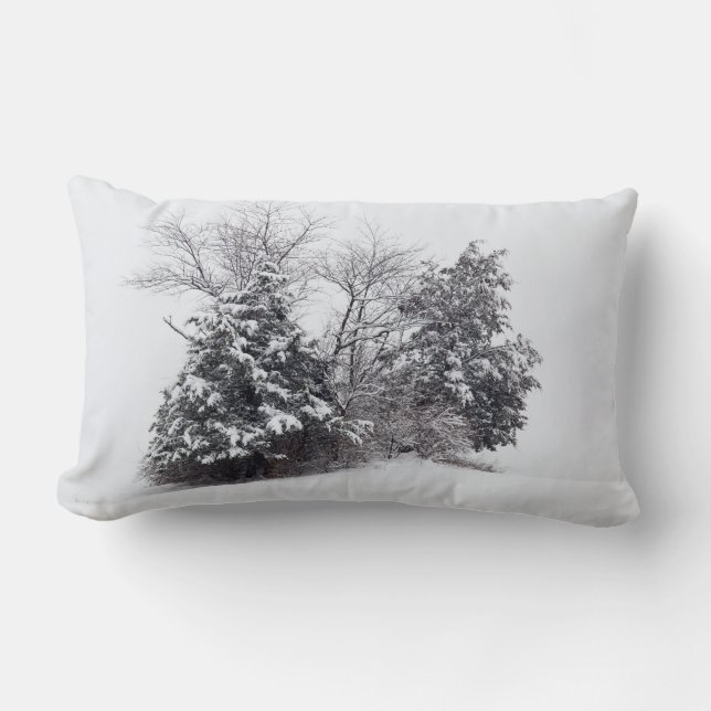 Coussin Rectangle Oasis d'hiver (Recto)