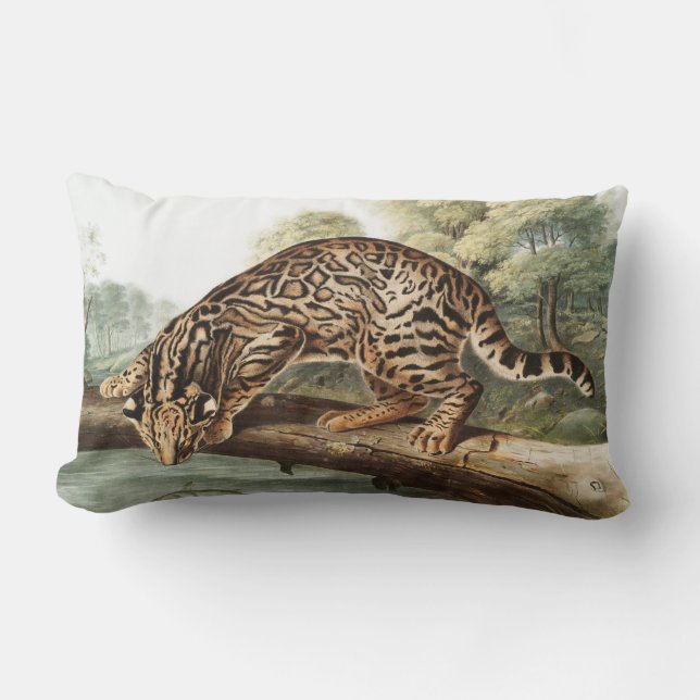 Coussin Rectangle Ocelot, chat léopard (Felis pardalis) Illustration (Recto)