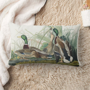 Coussin Rectangle Œuvre d'art faunique vintage sur le canard colvert