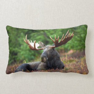 Coussin Rectangle Oie