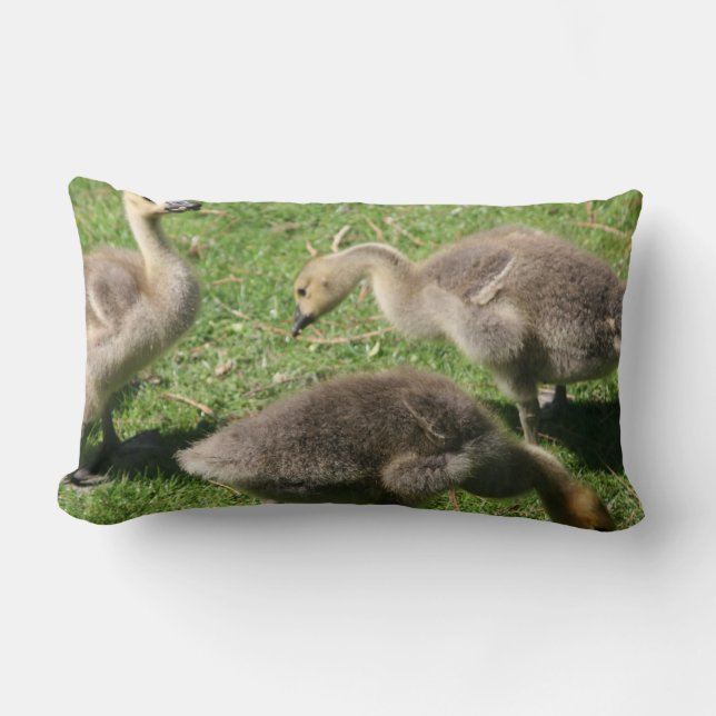 Coussin Rectangle Oies dans l'herbe (Recto)