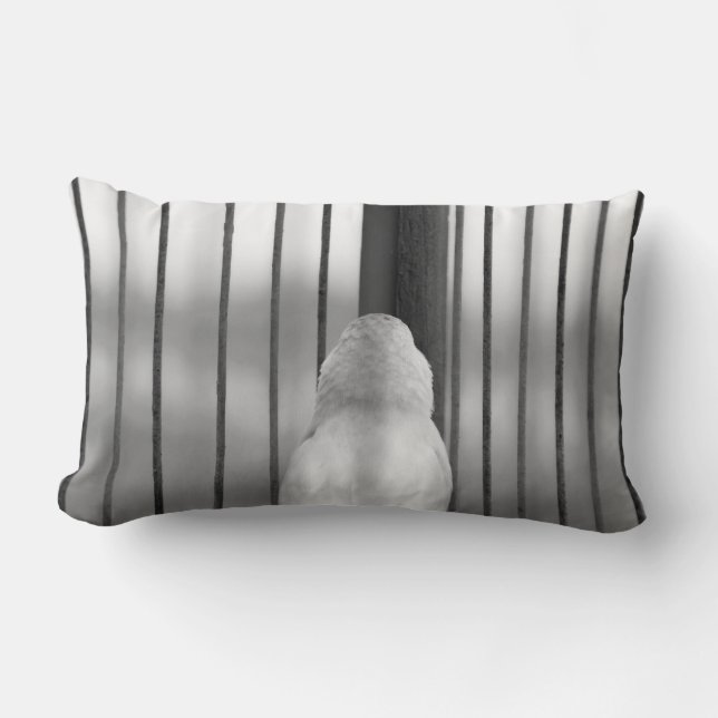 Coussin Rectangle Oiseau en cage (Recto)