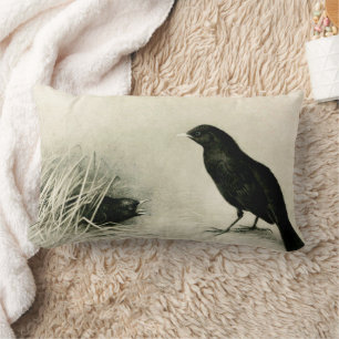 Coussin Rectangle Oiseaux. Bébés Blackbird Crow