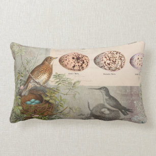 Coussin Rectangle Oiseaux botaniques vintages OEufs de nid Ephémèr