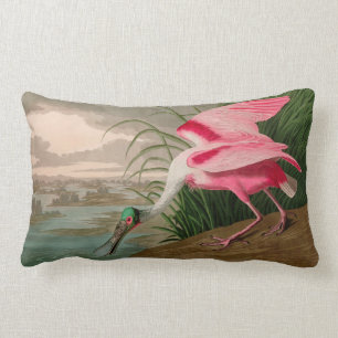 Coussin Rectangle Oiseaux d'Amérique de spatule de rose Audubon Imp