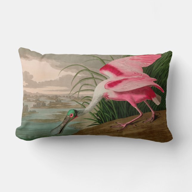 Coussin Rectangle Oiseaux d'Amérique de spatule de rose Audubon Impr (Recto)