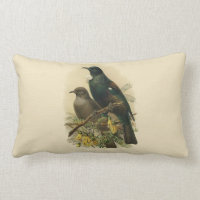 Oiseaux vintages de NZ de la Science - Tui