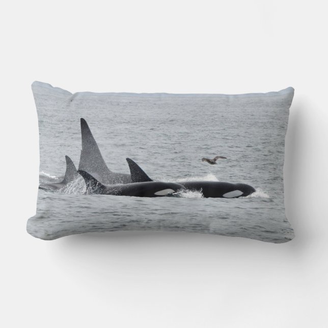 Coussin Rectangle Orca Whales !Devant et derrière!Coussin (Recto)