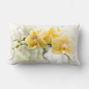 Coussin Rectangle Orchidée de papillon jaune sous le soleil