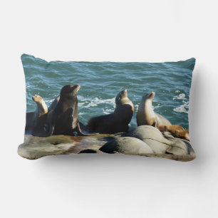 Coussin Rectangle Otaries de San Diego