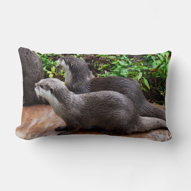 Coussin Rectangle Otter, Otter, Lumbar Lounge Cushion. (Recto)