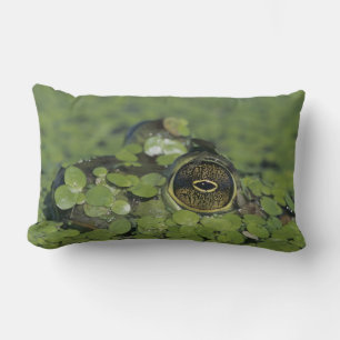 Coussin Rectangle Ouaouaron, Rana catesbeiana, adulte dans la lentil