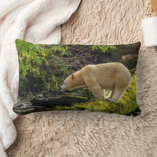 Coussin Rectangle Ours blanc esprit (Couverture)