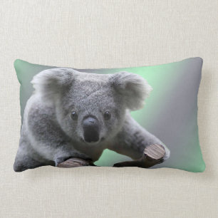 Coussin Rectangle Ours de koala