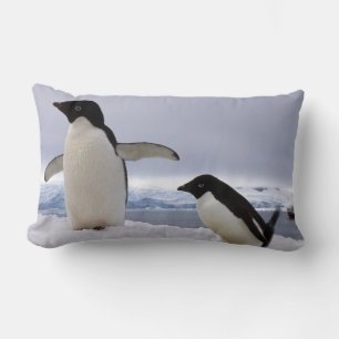 Coussin Rectangle Pair Adelie pingouins Antarctique