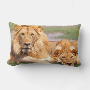 Coussin Rectangle Paire de lions d'Afrique, Panthera leo, Tanzanie