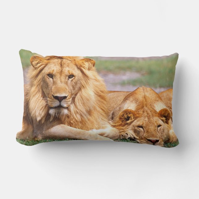 Coussin Rectangle Paire de lions d'Afrique, Panthera leo, Tanzanie (Recto)