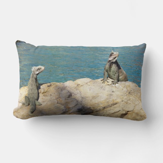 Coussin Rectangle Paire d'Iguanes Photographie de faune tropicale (Recto)