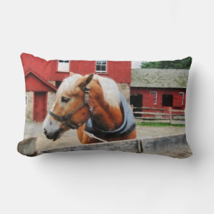 Coussin Rectangle Palomino By Red Barn