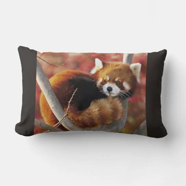 Coussin Rectangle Panda rouge (Recto)