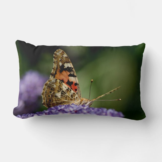 Coussin Rectangle Papillon de observation et de attente (Recto)