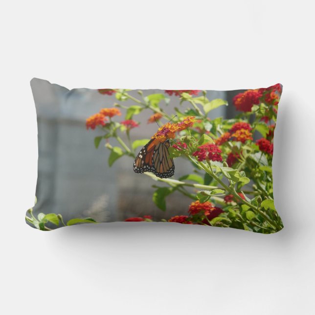 Coussin Rectangle Papillon monarque sur le papillon rouge Bush (Recto)