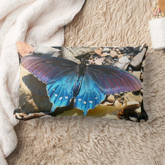 Coussin Rectangle Papillon noir à queue fourchue sur la plage de la  (Couverture)