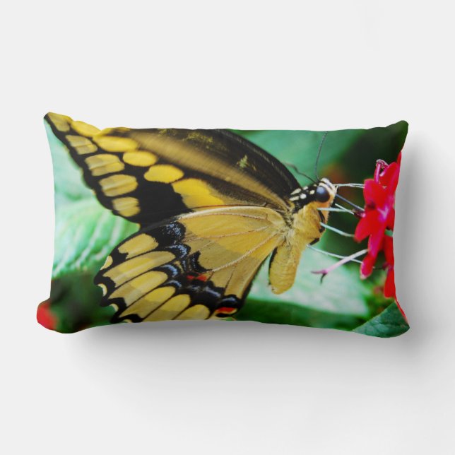 Coussin Rectangle Papillon noir blanc jaune photo moderne (Recto)