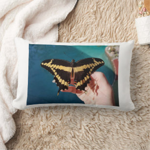 Coussin Rectangle Papillon swallowtail géant
