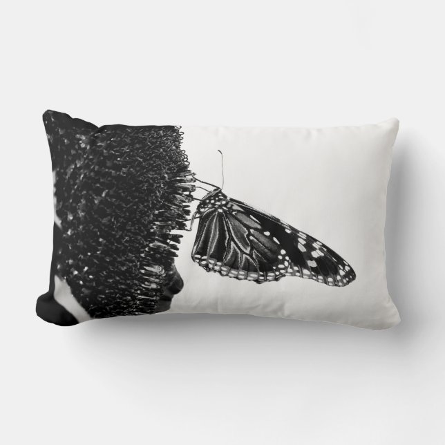Coussin Rectangle papillon timide blacq (Recto)