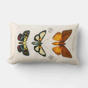 Coussin Rectangle Papillons vintages