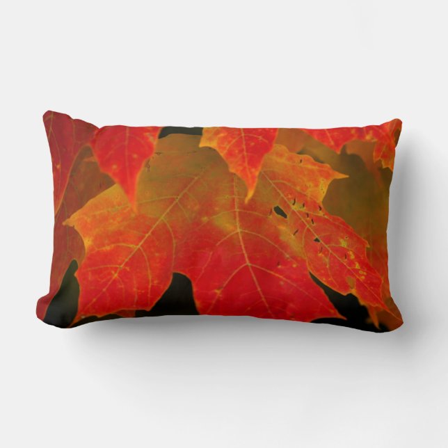 Coussin Rectangle Parc d'État d'Itasca, couleurs d'automne 2 (Recto)
