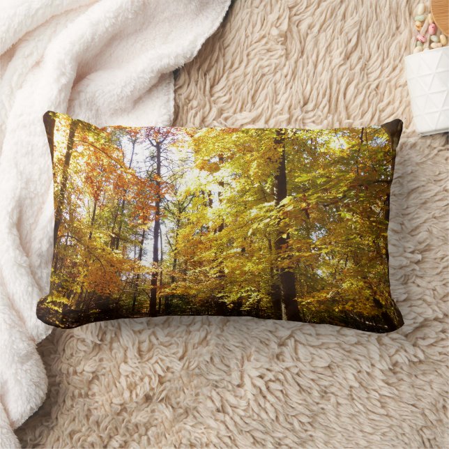 Coussin Rectangle Parc Greenbelt en automne II Scène de la nature da (Couverture)