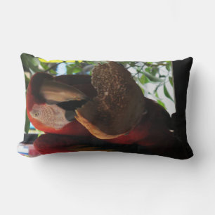 Coussin Rectangle Parrot Macaw Scarlet Manger Toast
