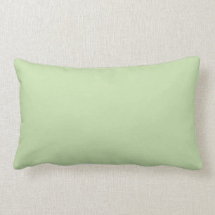 Coussin Rectangle Pastel Green Solid Color Pairs Aloe Gel 058-83-18