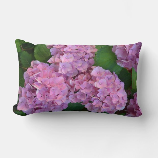 Coussin Rectangle Pastel rose Hortensia hydrangea fleurs (Recto)
