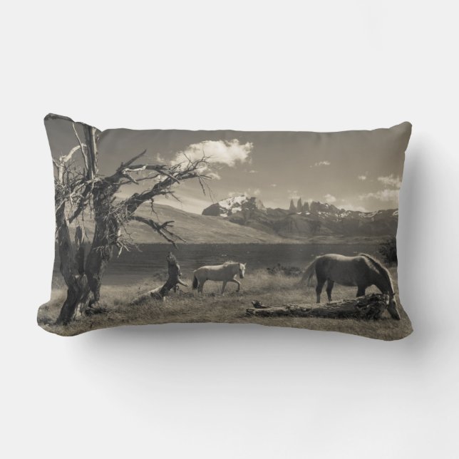 Coussin Rectangle Paysage avec chevaux (Recto)