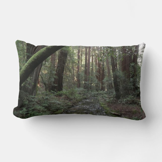 Coussin Rectangle Paysage forestier du ruisseau de Muir Woods (Recto)