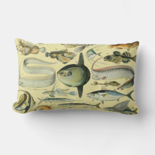 Coussin Rectangle Pêche scientifique vintage