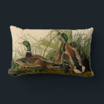 Coussin Rectangle Peinture d'oiseaux de Mallard Duck Audubon<br><div class="desc">Canard colvert Audubon - Le canard colvert est un oiseau de jeu que vous pouvez voir voler à travers les marais. John James Audubon a créé cette magnifique illustration vintage de canard de Mallard, une gravure aquatine avec coloration originale, et l'a publiée dans les célèbres livres originaux Birds of America...</div>