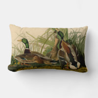 Peinture d'oiseaux de Mallard Duck Audubon