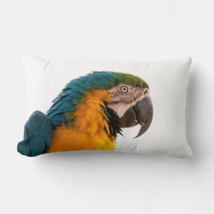 Coussin Rectangle Perroquet